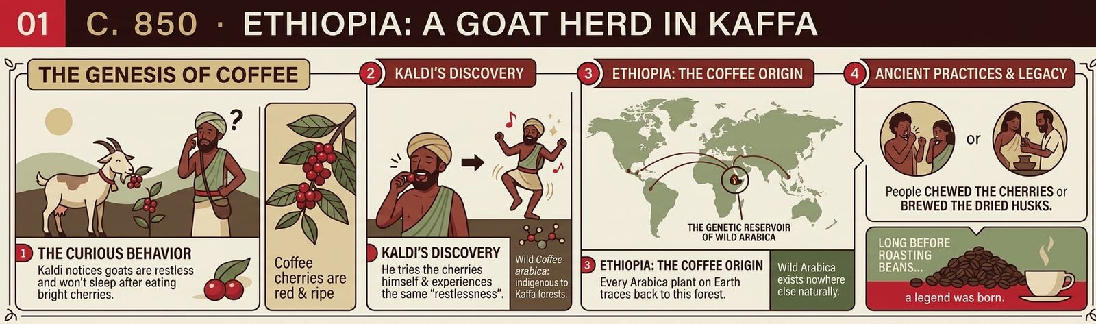 Wild coffee in the Ethiopian highlands: Kaldi, the goats, and the forest every Arabica plant traces back to