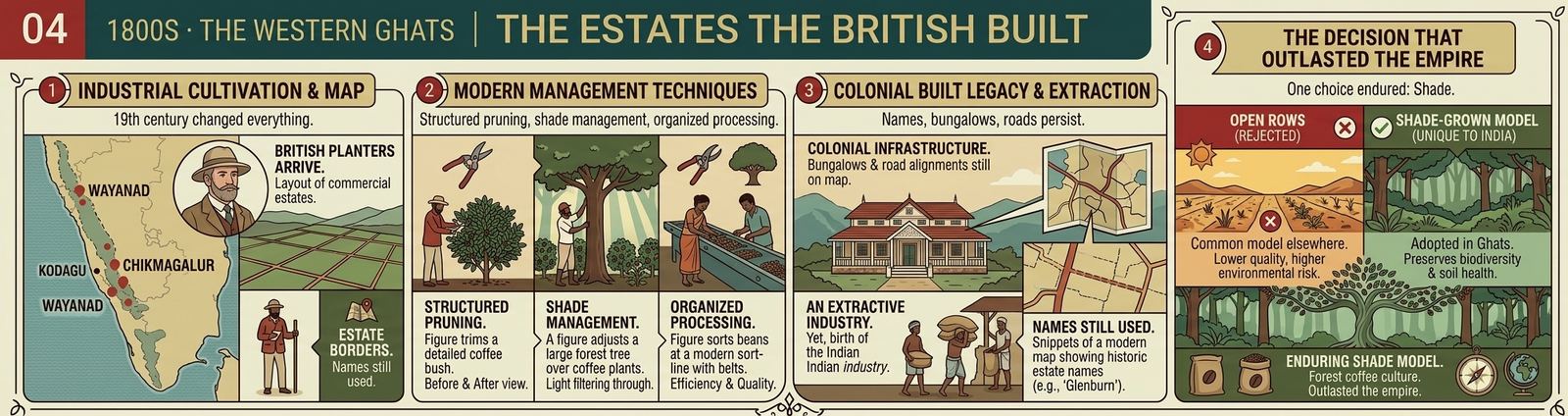 British planters lay out estates across Wayanad, Kodagu and Chikmagalur, and the shade-grown model that outlasted them