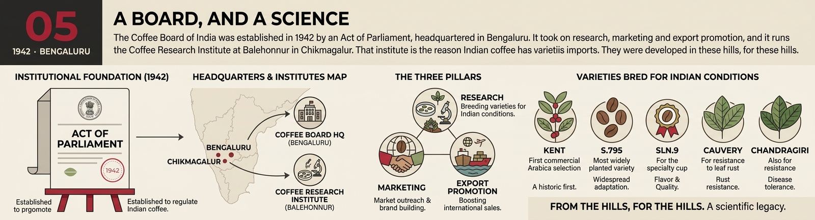 The Coffee Board of India, 1942: research, marketing and export, and the varieties bred for Indian hills