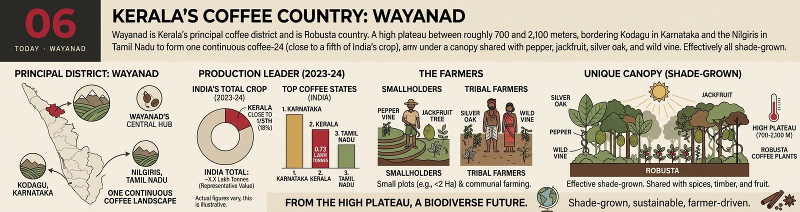 Wayanad, Kerala’s coffee country: a fifth of India’s crop, smallholders and tribal farmers, grown under canopy